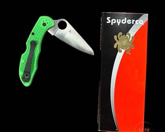 SPYDERCO Salt 2 Knife (C88FPGR2) 