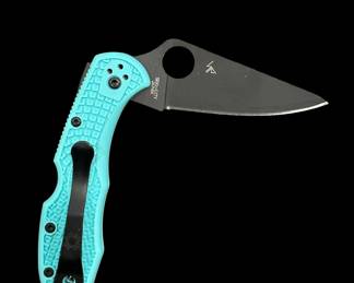 SPYDERCO Delica 4 Lightweight Knife (C11FPTLBK) 