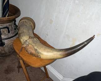 HUGE horn / Shofar ?