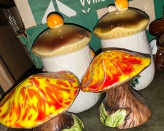 Taller ‘shrooms are sold