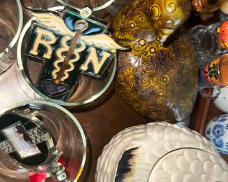 Pharmacy RN sign amongst the ducks