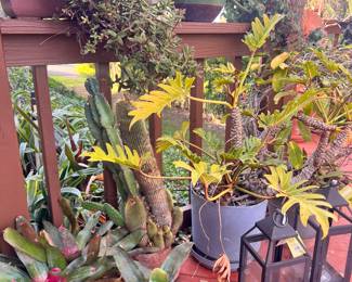 New Outdoor lanterns 