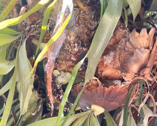 AND SHE MEANS BUSINESS!