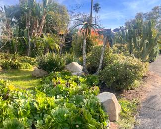 JUST A GLIMPSE INTO OUR BOTANICAL WONDERLAND