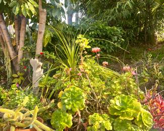 PATHWAYS AND PATHWAYS OF POTTED PLANTS - OUR PROPERY USED TO BE A 10 ACRE NURSERY