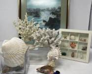 thumbnail 6584b2a2677ca