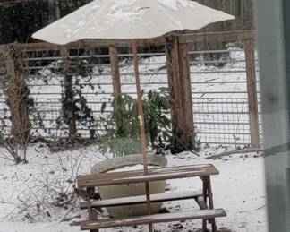 Planter and Childs Picnic Table