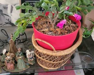 Plants need a good home