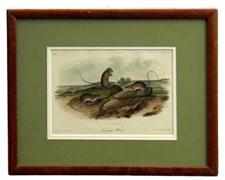 W.E Hitchcock “Jumping Mouse" Stone Plate Litho
