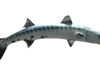 Vintage Great Barracuda Model Fish
