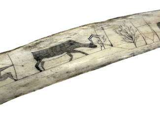 Antique Scrimshaw Elk Bone
