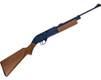 760 Pumpmaster BB Gun

