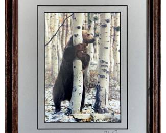 Signed William Ervin Winter Forest Bear Photograph
