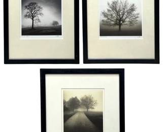 Signed Richard Calvo “Calvo Trees" Photography
