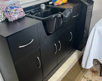 The salon wet station looks as if it was bought yesterday.