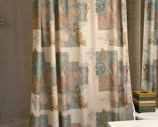 Shower, curtain and rugs