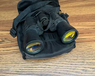 Night vision binoculars