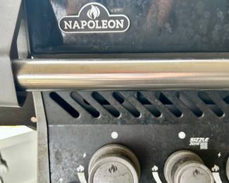 Napoleon “Rogue” grill