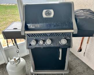 Napoleon “Rogue” grill