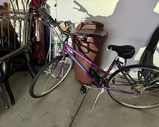 Schwinn Bike