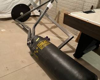 Everlast Punching Bag