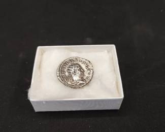 Ancient Roman coins!