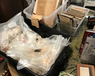 shells, maps and travel