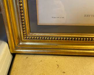 J . Gould ? Litograph Period Frame