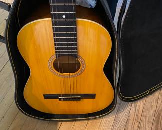 Guitar & Case