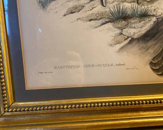 J . Gould ? Litograph Period Frame