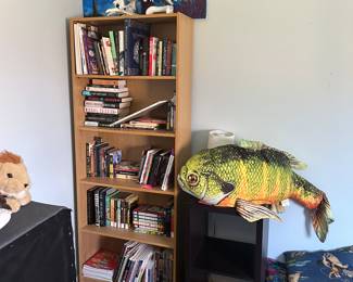 Bookshelf, plushies, young adult books