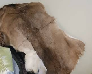Several deer hides