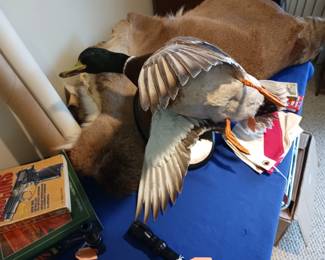 Faux taxidermy mallard duck