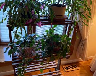 Retro Plant Shelf, House Plants NEED New Homes!