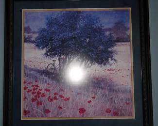 Poppy meadow with Bike.