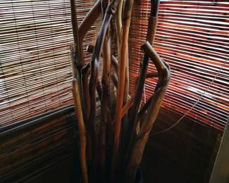 Lots Of Walking Sticks 