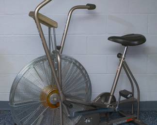 Schwinn Airdyne Exercise Bike