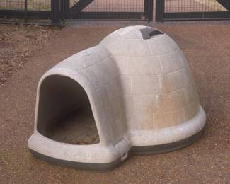 Dog House