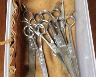Hair cutting shears