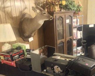 Deer mount, gun cabinet