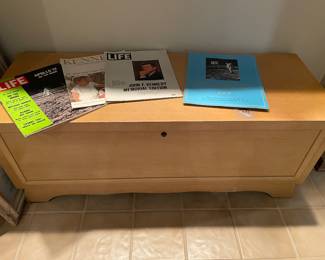 retro mags and cedar chest