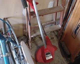 Ladder and week eater