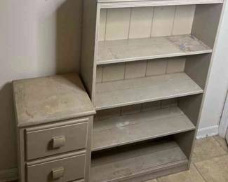 Bookcase and storage Cabinet