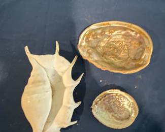 LOTS OF SHELLS.