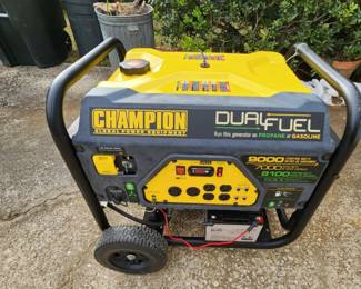 Champion Generator works perfectly. cleaned ready to go