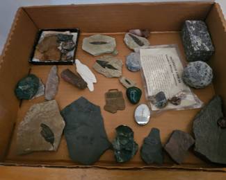 more Fossils