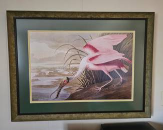 Text for Pre Sales after the 28th Jan