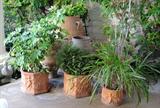 Nice pots and plants. Green urns medium and large.
