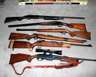 Rifles & Shotguns