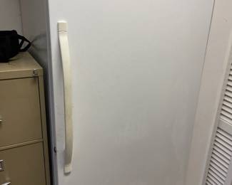Nice CLEAN full size upright freezer 